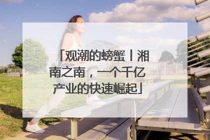 观潮的螃蟹丨湘南之南，一个千亿产业的快速崛起
