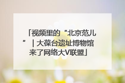 视频里的“北京范儿”｜大葆台遗址博物馆来了网络大V联盟