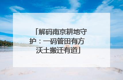 解码南京耕地守护：一码管田有方 沃土搬迁有道