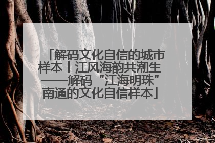 解码文化自信的城市样本丨江风海韵共潮生——解码“江海明珠”南通的文化自信样本