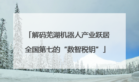 解码芜湖机器人产业跃居全国第七的“数智税钥”