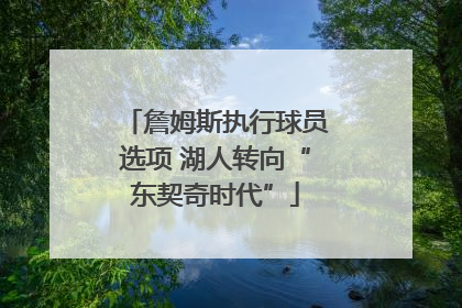 詹姆斯执行球员选项 湖人转向“东契奇时代”