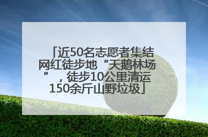 近50名志愿者集结网红徒步地“天鹅林场”，徒步10公里清运150余斤山野垃圾