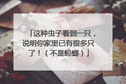 这种虫子看到一只，说明你家里已有很多只了！（不是蟑螂）