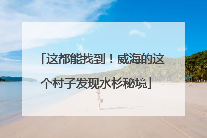 这都能找到！威海的这个村子发现水杉秘境