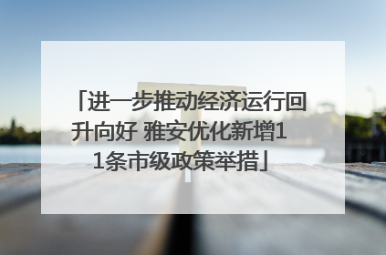 进一步推动经济运行回升向好 雅安优化新增11条市级政策举措