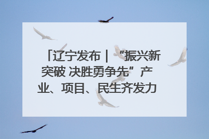 辽宁发布｜“振兴新突破 决胜勇争先”产业、项目、民生齐发力 葫芦岛按下决胜之年“加速键”