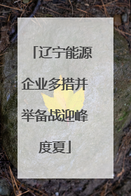 辽宁能源企业多措并举备战迎峰度夏