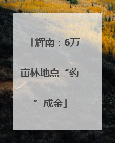 辉南：6万亩林地点“药”成金