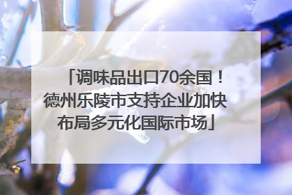 调味品出口70余国！德州乐陵市支持企业加快布局多元化国际市场