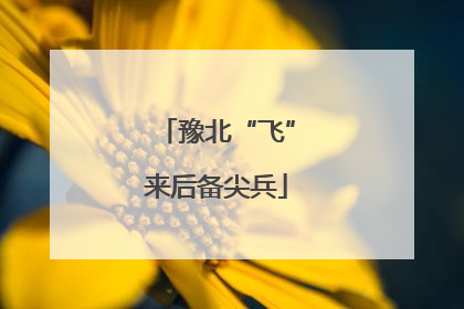 豫北“飞”来后备尖兵