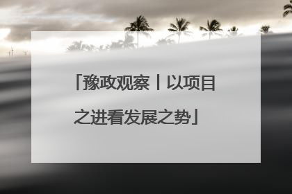 豫政观察丨以项目之进看发展之势