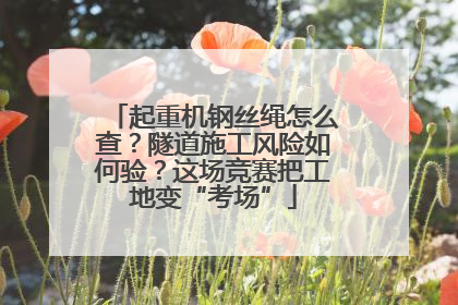 起重机钢丝绳怎么查？隧道施工风险如何验？这场竞赛把工地变“考场”