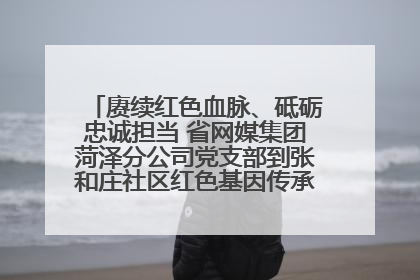 赓续红色血脉、砥砺忠诚担当 省网媒集团菏泽分公司党支部到张和庄社区红色基因传承馆开展主题党日活动