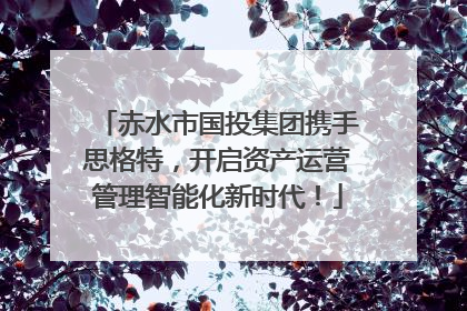 赤水市国投集团携手思格特，开启资产运营管理智能化新时代！
