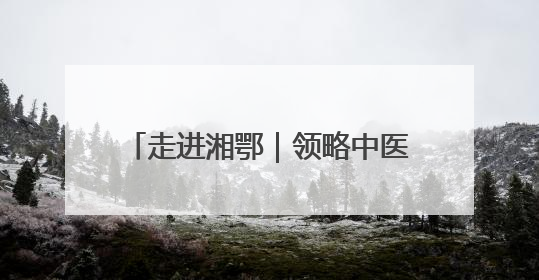 走进湘鄂｜领略中医智慧，传承医道薪火