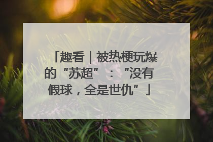趣看｜被热梗玩爆的“苏超”：“没有假球，全是世仇”