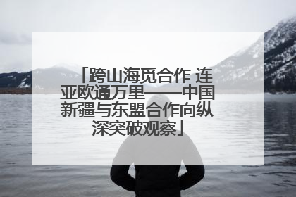 跨山海觅合作 连亚欧通万里——中国新疆与东盟合作向纵深突破观察