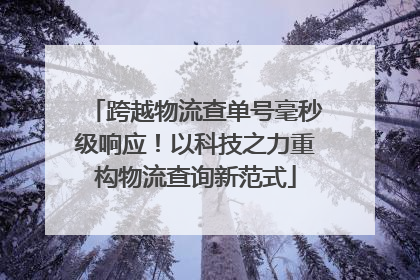 跨越物流查单号毫秒级响应！以科技之力重构物流查询新范式