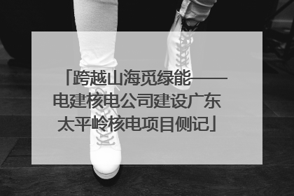 跨越山海觅绿能——电建核电公司建设广东太平岭核电项目侧记