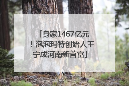 身家1467亿元！泡泡玛特创始人王宁成河南新首富