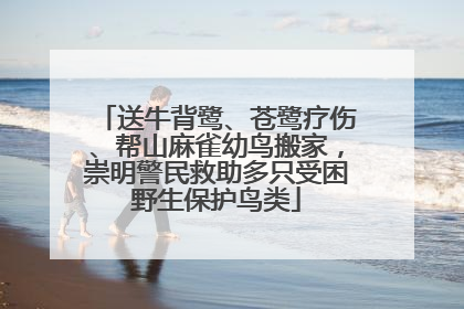 送牛背鹭、苍鹭疗伤、帮山麻雀幼鸟搬家，崇明警民救助多只受困野生保护鸟类
