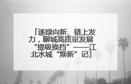 逐绿向新、链上发力，聊城高质量发展“提级换挡”——江北水城“焕新”记