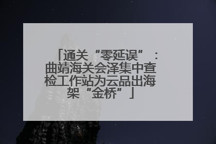通关“零延误”：曲靖海关会泽集中查检工作站为云品出海架“金桥”