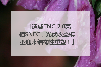 通威TNC 2.0亮相SNEC，光伏收益模型迎来结构性重塑！