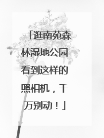 逛南苑森林湿地公园看到这样的照相机，千万别动！