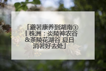 避暑康养到湖南③丨株洲：炎陵神农谷&茶陵花湖谷 夏日消暑好去处