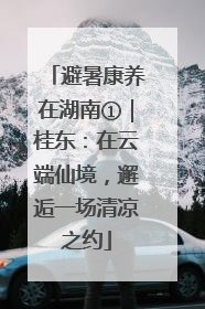 避暑康养在湖南①｜桂东：在云端仙境，邂逅一场清凉之约
