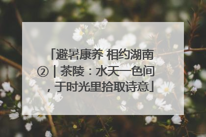 避暑康养 相约湖南②｜茶陵：水天一色间，于时光里拾取诗意