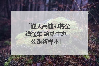 遂大高速即将全线通车 绘就生态公路新样本