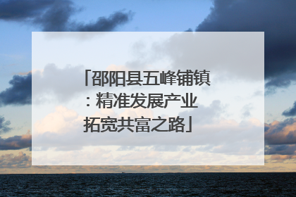 邵阳县五峰铺镇：精准发展产业 拓宽共富之路