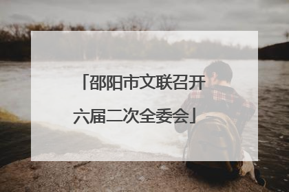 邵阳市文联召开六届二次全委会