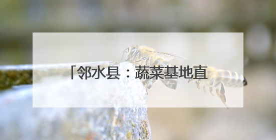 邻水县：蔬菜基地直销 助力乡村振兴