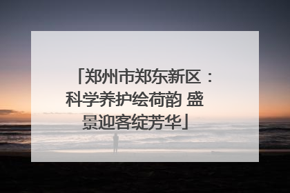 郑州市郑东新区：科学养护绘荷韵 盛景迎客绽芳华