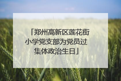 郑州高新区莲花街小学党支部为党员过集体政治生日