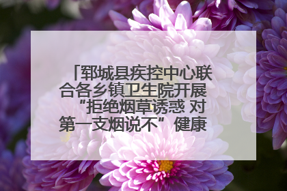 郓城县疾控中心联合各乡镇卫生院开展“拒绝烟草诱惑 对第一支烟说不”健康教育宣传活动