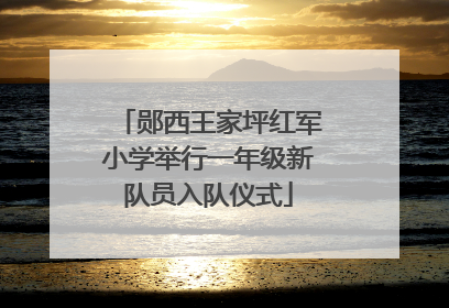 郧西王家坪红军小学举行一年级新队员入队仪式