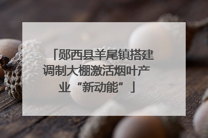 郧西县羊尾镇搭建调制大棚激活烟叶产业“新动能”