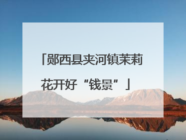 郧西县夹河镇茉莉花开好“钱景”