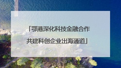 鄂港深化科技金融合作 共建科创企业出海通道