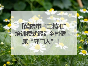 醴陵市“三精准”培训模式锻造乡村健康“守门人”