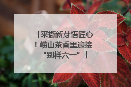 采撷新芽悟匠心！崂山茶香里迎接“别样六一”