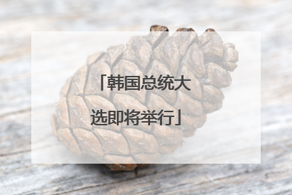韩国总统大选即将举行