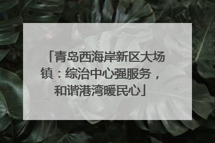 青岛西海岸新区大场镇：综治中心强服务，和谐港湾暖民心