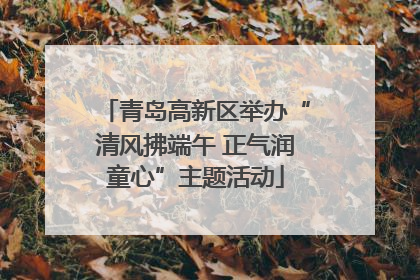 青岛高新区举办“清风拂端午 正气润童心”主题活动