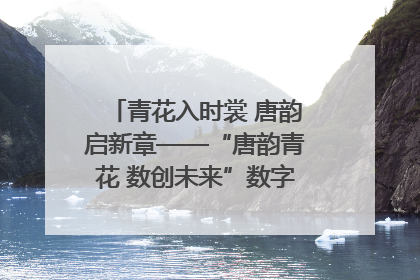 青花入时裳 唐韵启新章——“唐韵青花 数创未来”数字文创设计大赛启幕